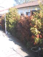 Gutachter Gutachten Gartenbau